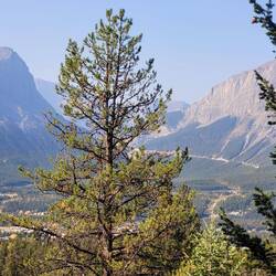 Blick auf 'Mt. Lady Mc. Donald'