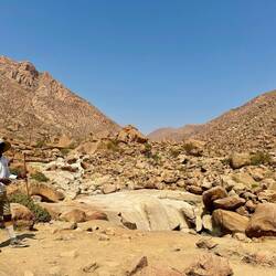Ganz im Hintergrund der höchste Berg Namibias, der Königstein (2573 m)