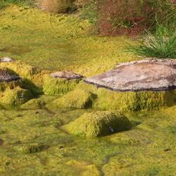 Noch gibt es nach der Regenzeit ein paar grüne Flecken