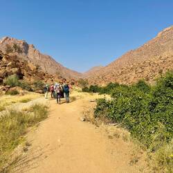 Wanderung durch das fast ausgetrocknete Flussbett des Ugab.