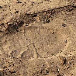 Es gibt sie wirklich...