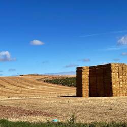 I've never seen hay bales stacked so high!