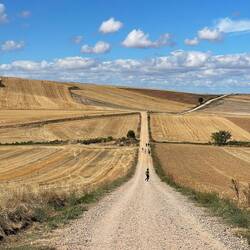 The long and winding road 🎶