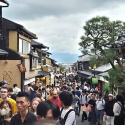 Der Ansturm ist Wahnsinn