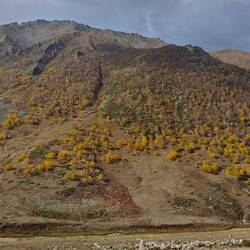 Die Vegetation ändert sich, je weiter man runter kommt.