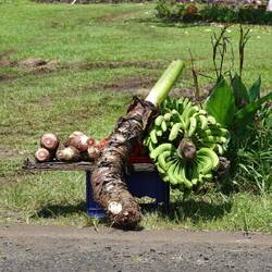 Samap Direktvermarktung