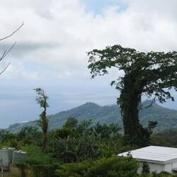 Auf der Island crossing road