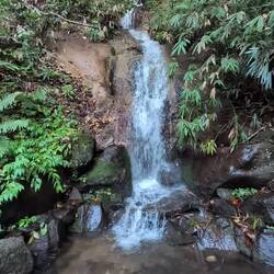 Wasserfall neben dem Schrein