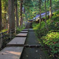Weg Richtung Campingplatz