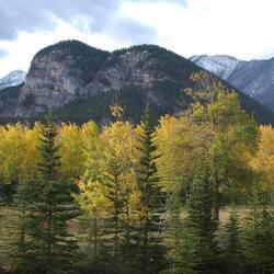 Mt. Schlafender Büffel