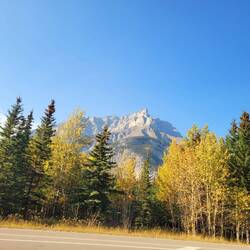 Blick zum Mt. Norquay