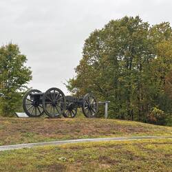Cannon in the field