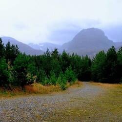 Der Nationalpark.....