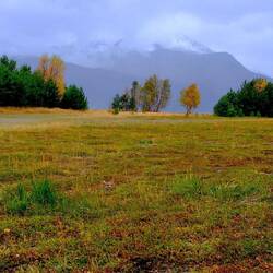 .....jetzt im Herbst....