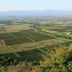 Blick auf Weinberge und Kleinen Kaukasus