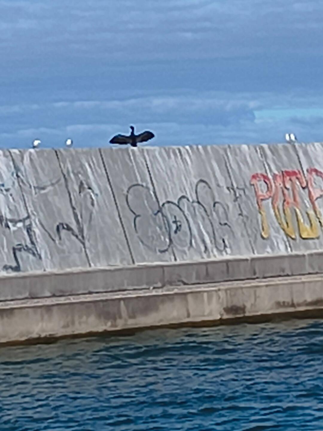 Kanal.und Küstenschutz bei Mielno