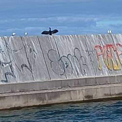 Kanal.und Küstenschutz bei Mielno