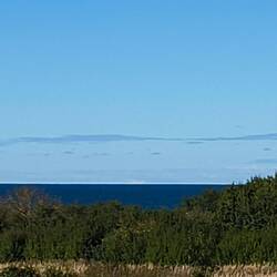 Die Steilküste ist mir zu steil...also bleib ich oben