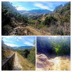 De verschillende paadjes