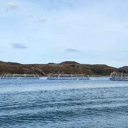 Fish farm