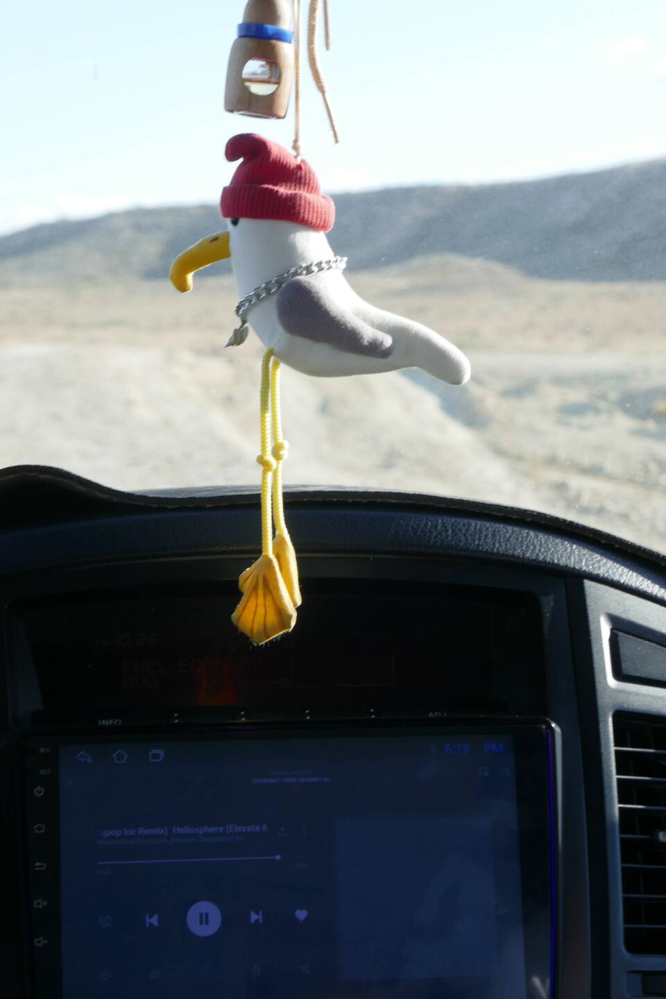 McCoubreys about to turn into Caspian terns.