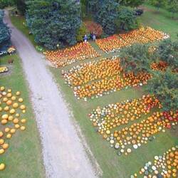 One farm (typical) did this. Borrowed image...