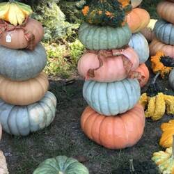 A roadside 'stall', borrowed image...