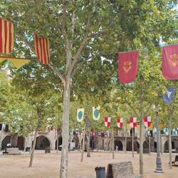 Think the flags are from celebrating Catalunya day