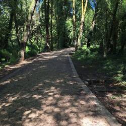 A shaded portion of the walk