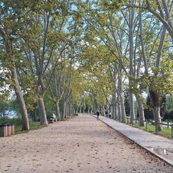 Closer to the end of the walk about 7km in total