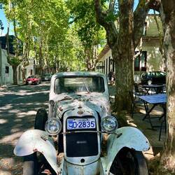 Platanen beschatten in die Strassen „eingewachsenen“ Oldtimer