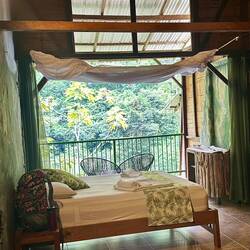 Die Zimmer sind zum Dschungel offen