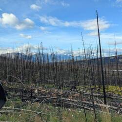 Jasper fire July 2024