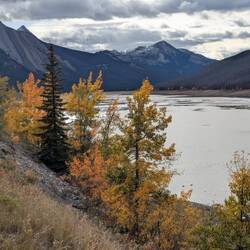 Medicine Lake