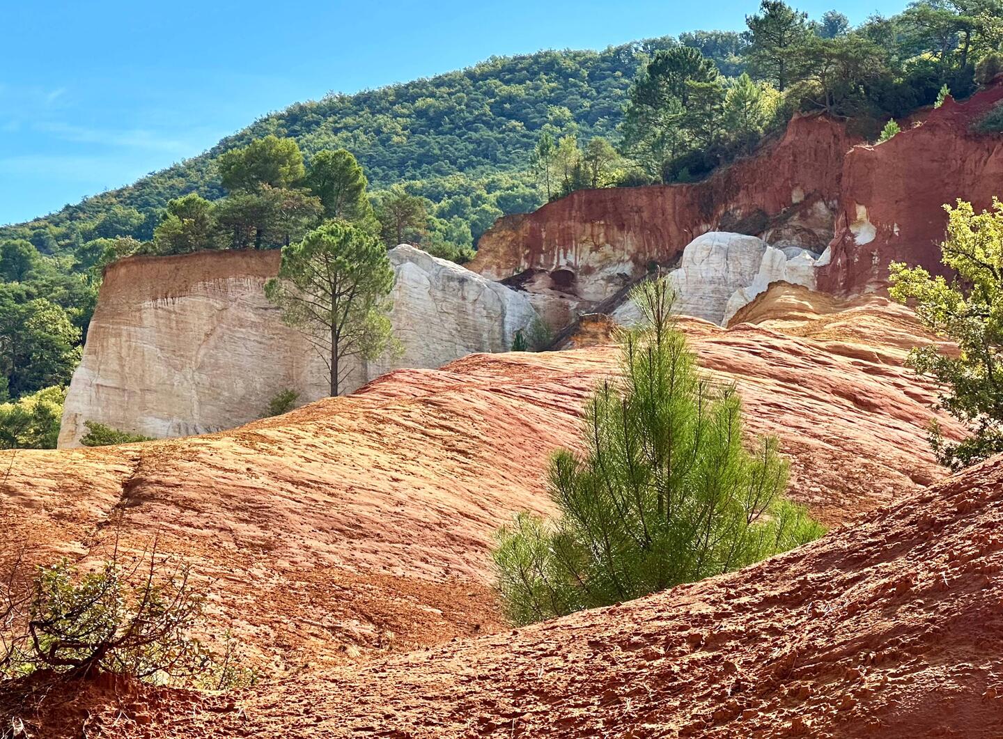 Colorado Provençal