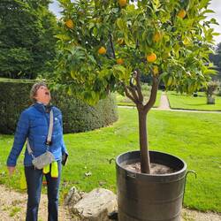 Garten Eden