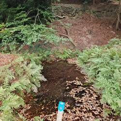 Waar komt al dat Water Vandaan? Zoek de vier sprengen, waar water uit de ground stroomt.