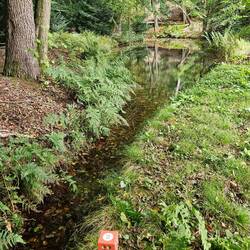 Laat je bootje Varen. Maak en bootje van takjes die je op de grond vindt. Zie je het water stromen?