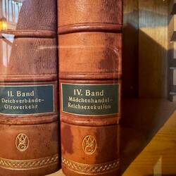 Band IV: Mädchenhandel 😳