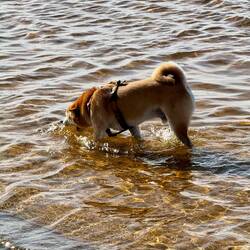 Super klares Wasser, natürlich eigentlich nicht zum trinken....