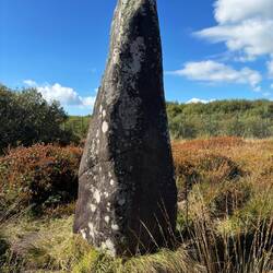 Dry tree standing stone
