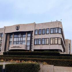 Parliament and the Lady with the Roses