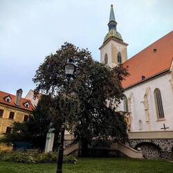 St. Martin's Cathedral