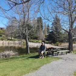 Forest walk Hanmer Springs