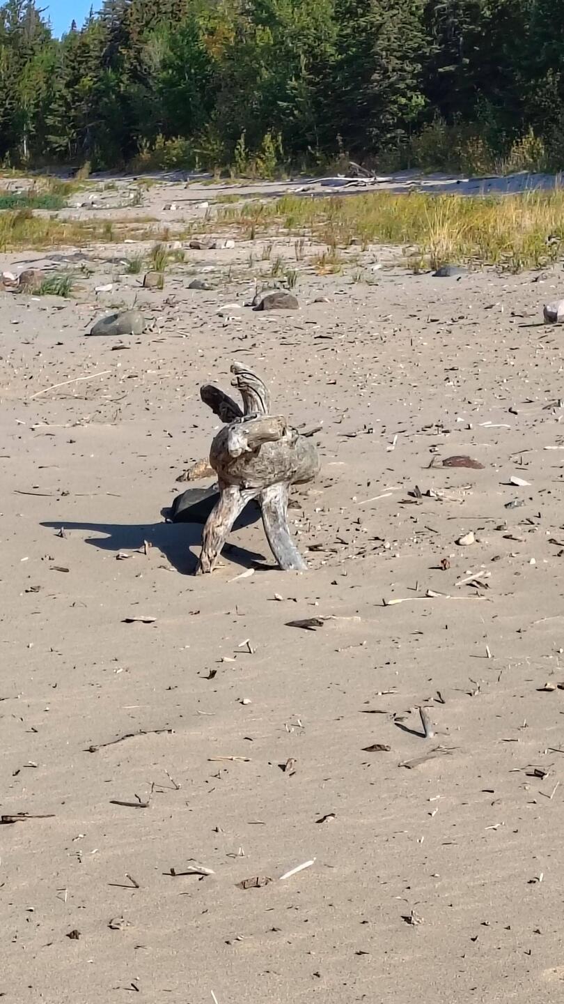 Kunst am Strand