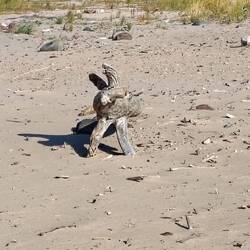 Kunst am Strand