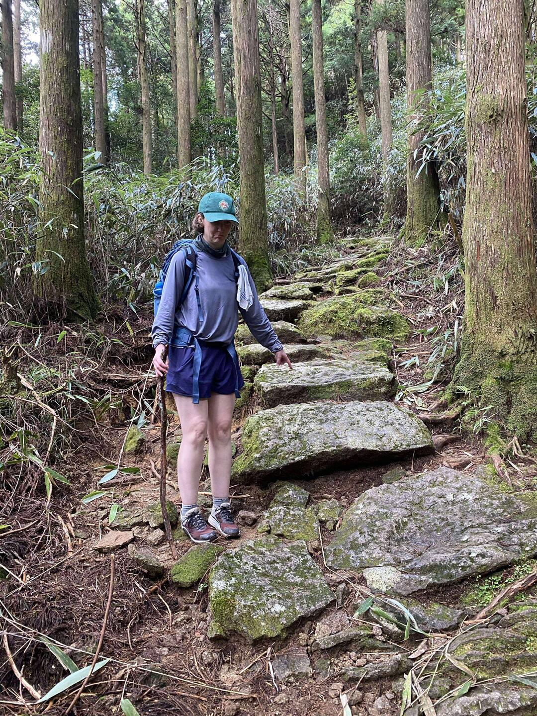 That's the culprit officer! 👉