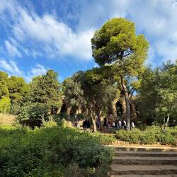 Guell Park walkway