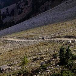 Er fährt zurück zum Campingplatz