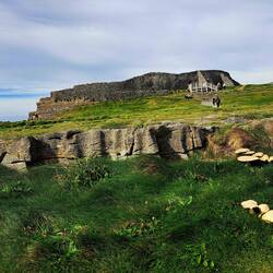 Netterweise ist der Rest der Gruppe für mein Bild zurück getreten